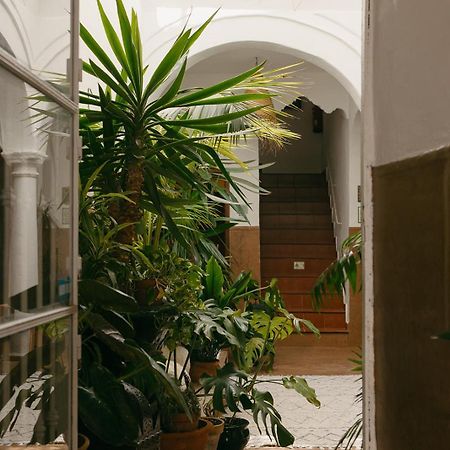 Hostal Africa Tarifa Ngoại thất bức ảnh