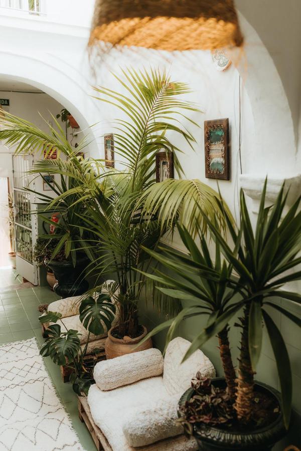 Hostal Africa Tarifa Ngoại thất bức ảnh